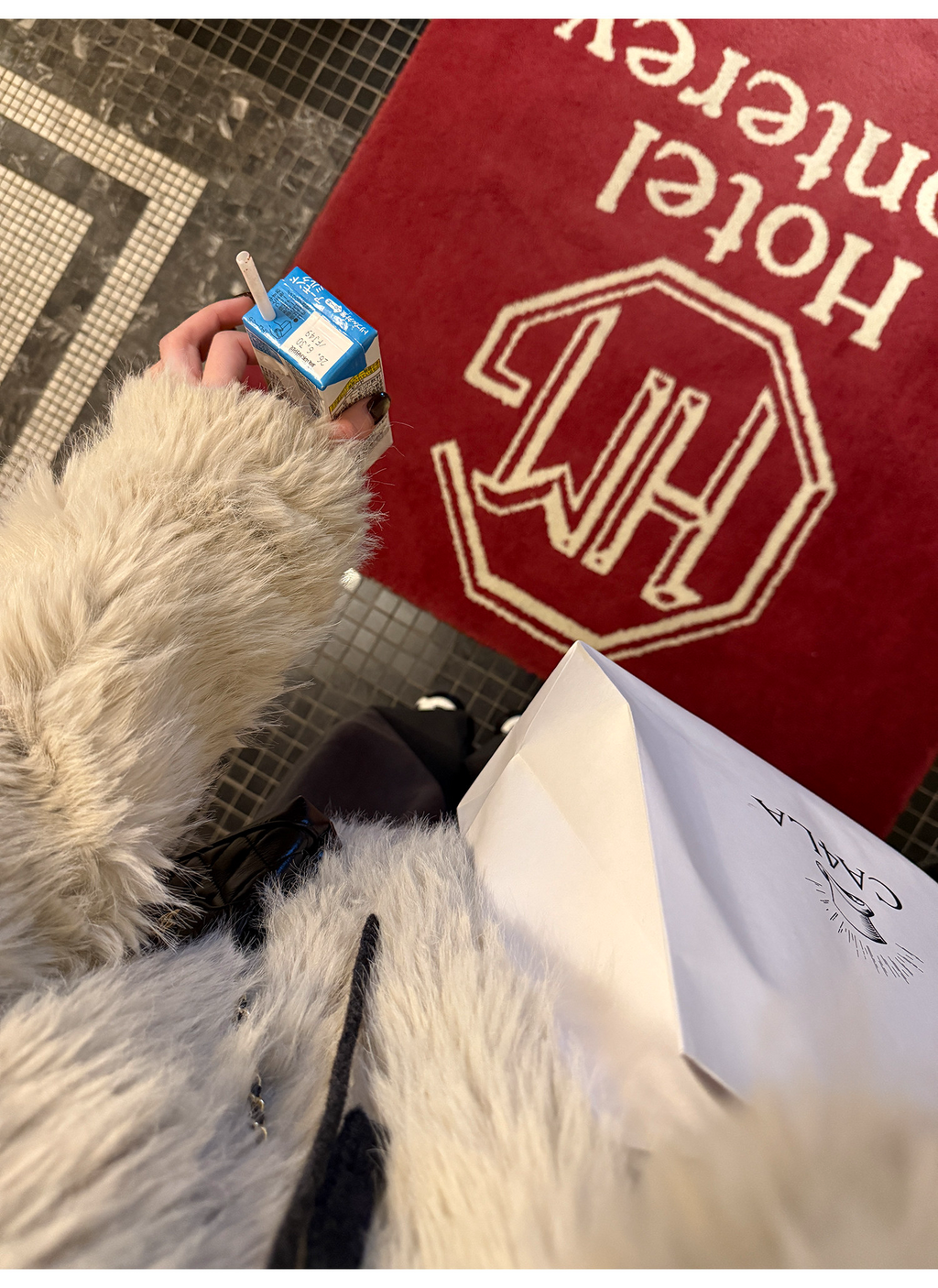 LelyMooch ロングパイル ノーカラー エコファー  LEM284