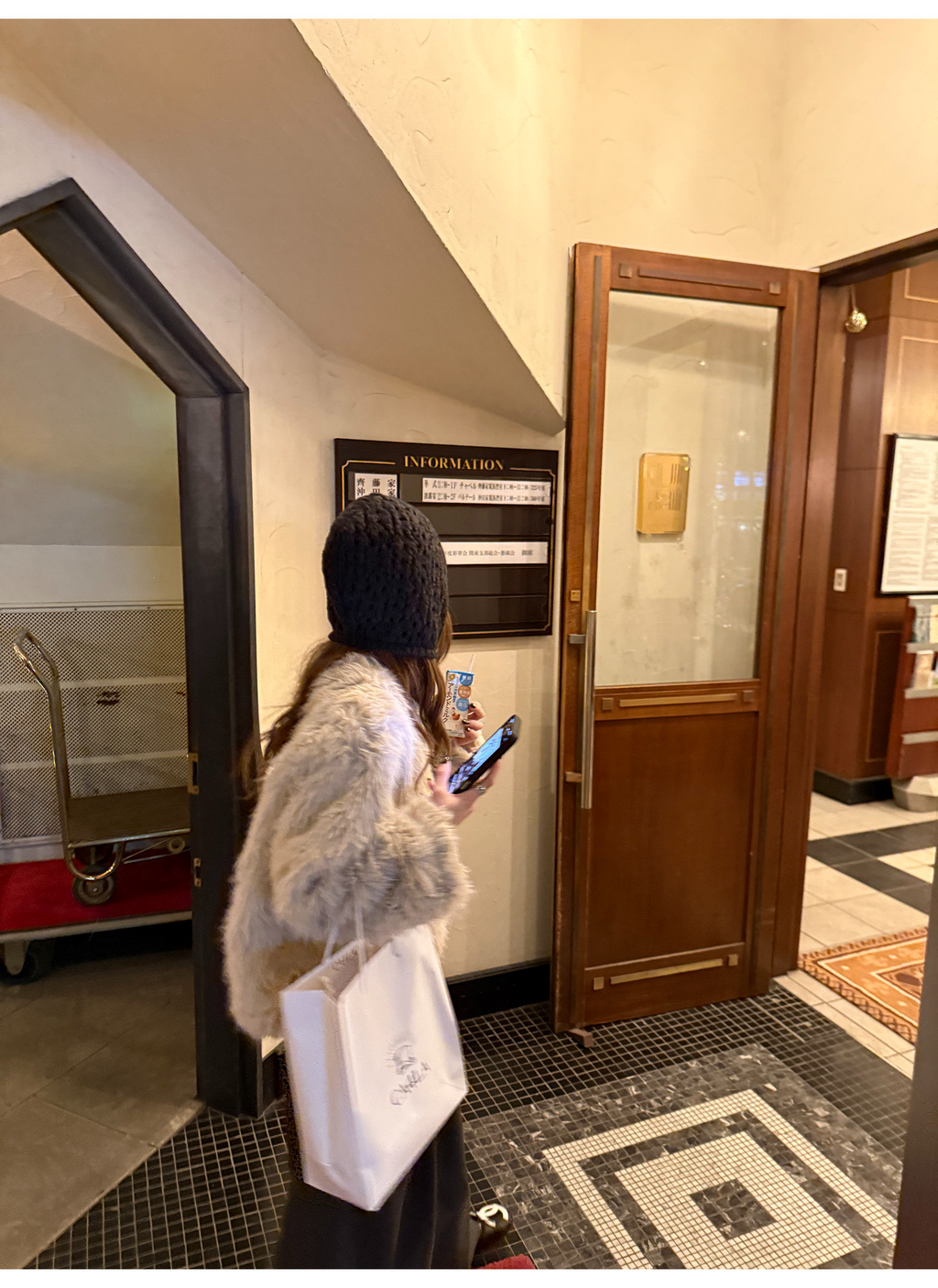 LelyMooch ロングパイル ノーカラー エコファー  LEM284