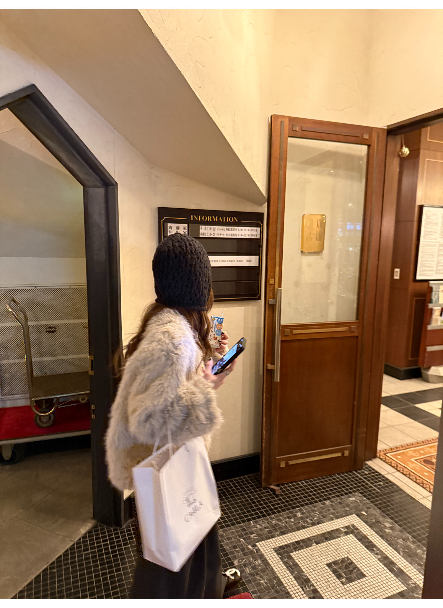 LelyMooch ロングパイル ノーカラー エコファー  LEM284