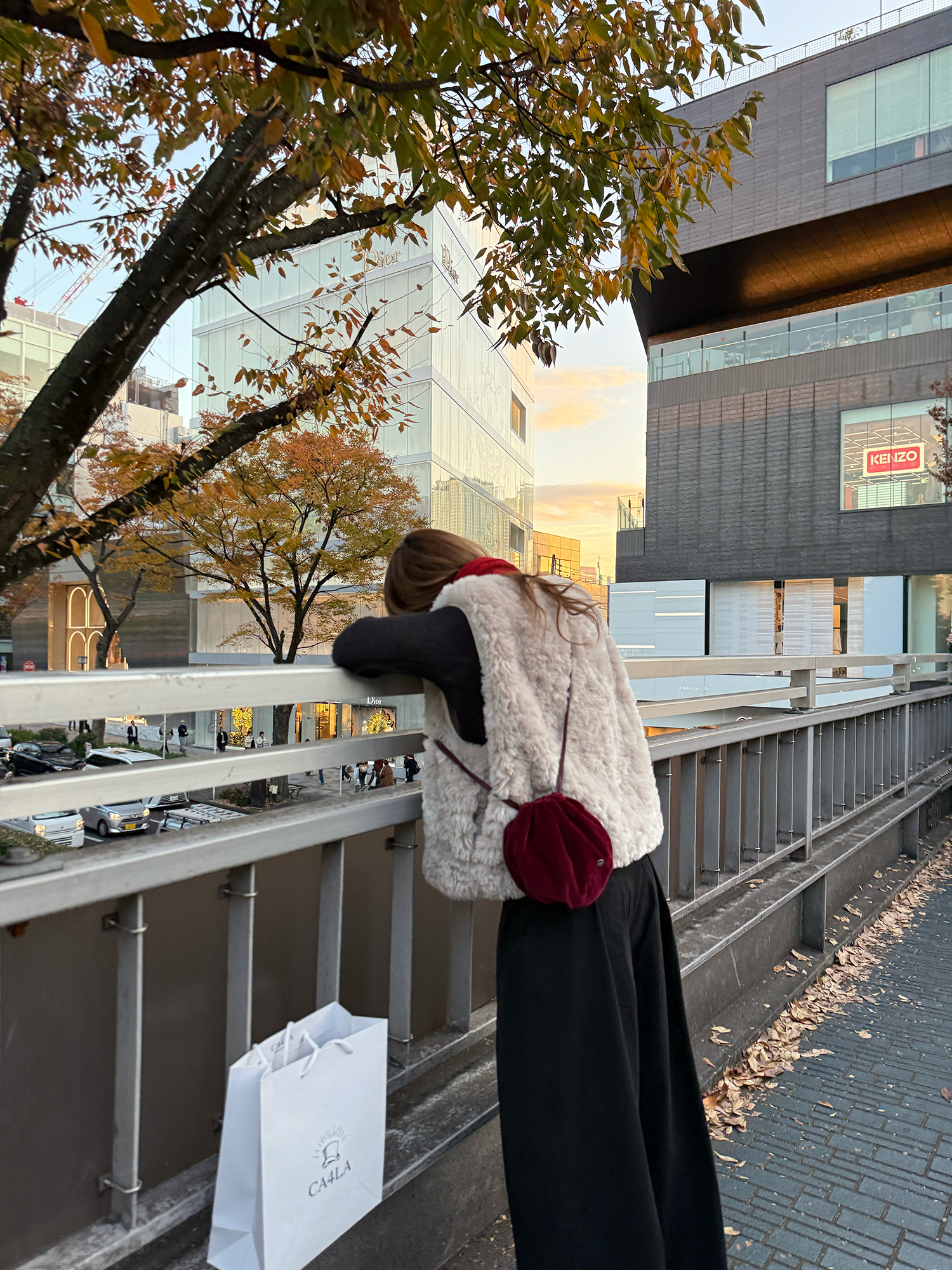 LelyMooch エコファー×ボア リバーシブルショートジレ  LEM279